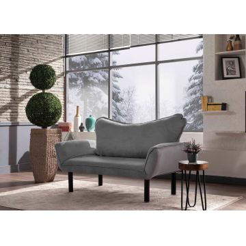 Canapea extensibilă cu 2 locuri, Futon, 859FTN1229, Metal, Gri