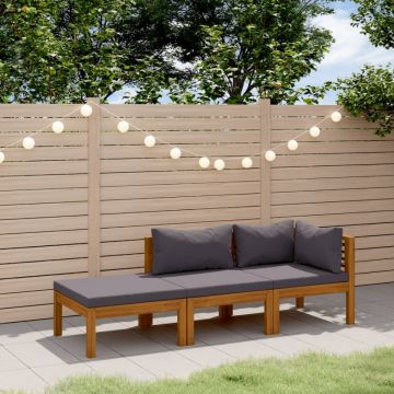 Set mobilier de grădină cu perne, 3 piese, lemn masiv de acacia