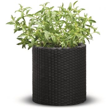 Ghiveci cilindric imitatie ratan Cylinder S, maro, 7 L