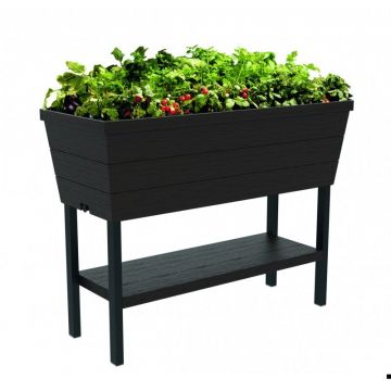 Rasadnita cu etajera Urban Bloomer XL, antracit